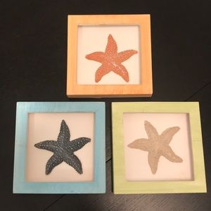 Starfish shadow boxes